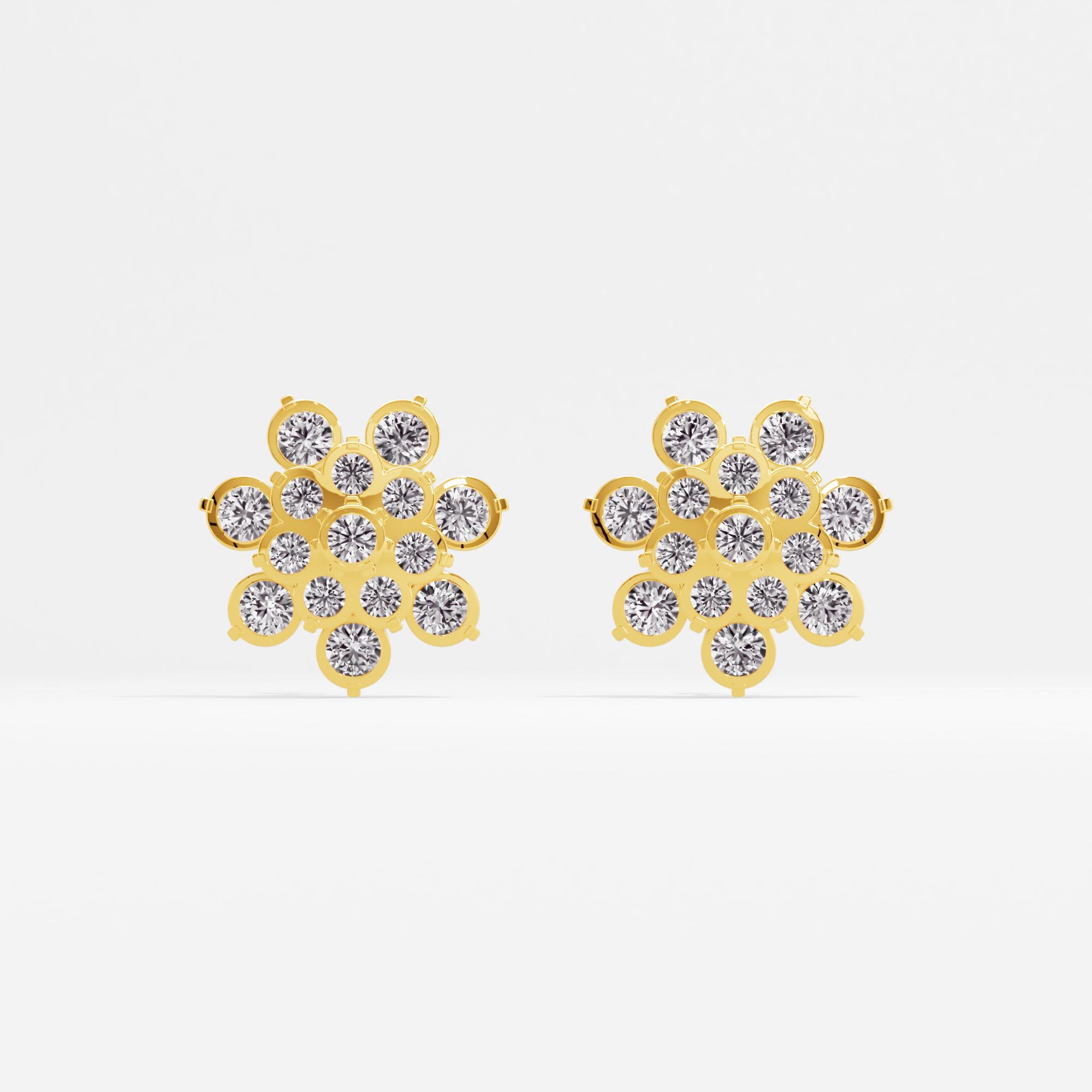 Ancestral Gleam Cluster Stud Earrings